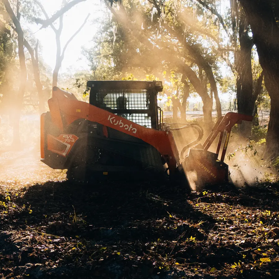 Forestry mulching project clearing overgrown vegetation in Lake County, FL