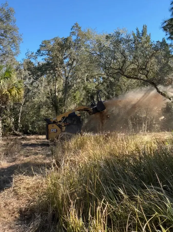 Forestry mulching equipment processing vegetation in Lake County, Florida