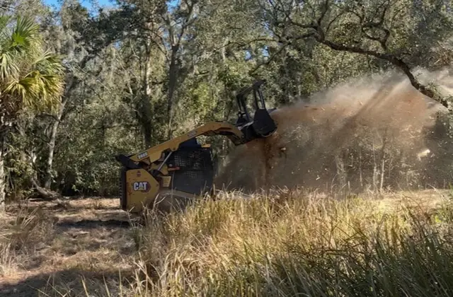 Forestry Mulching