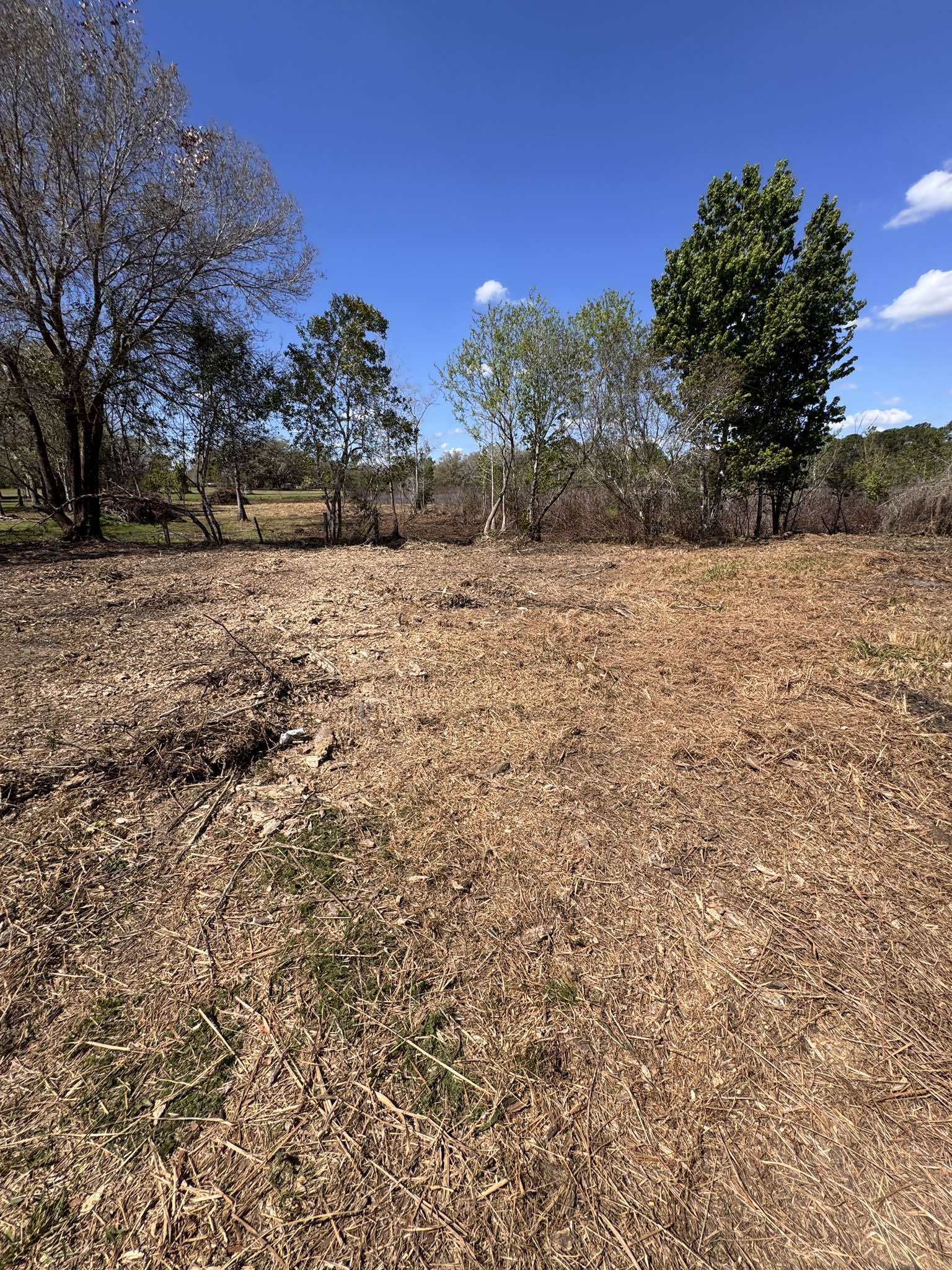 Commercial lot clearing with excavator in Leesburg FL