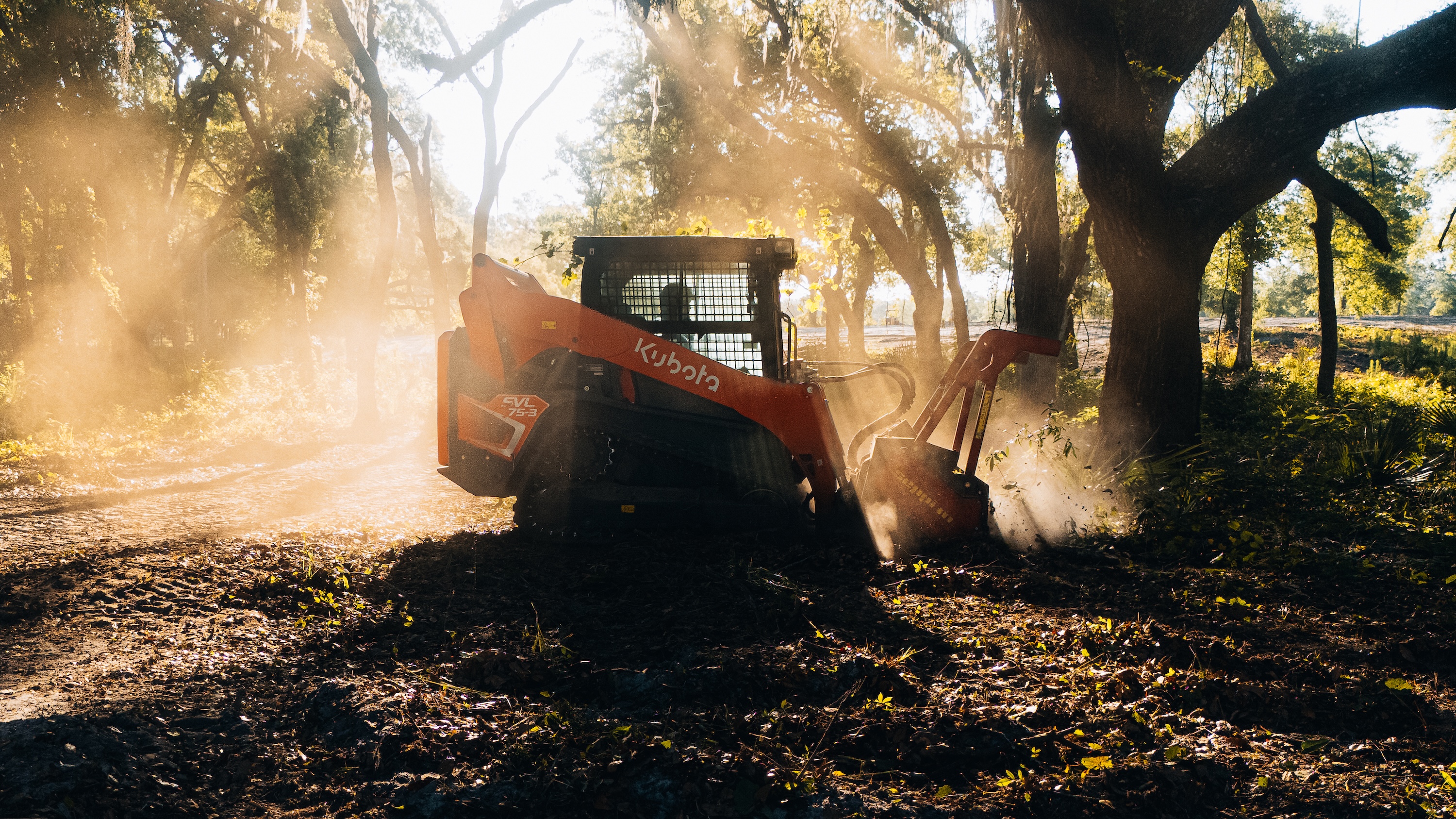 Forestry mulching project clearing overgrown vegetation in Lake County, FL