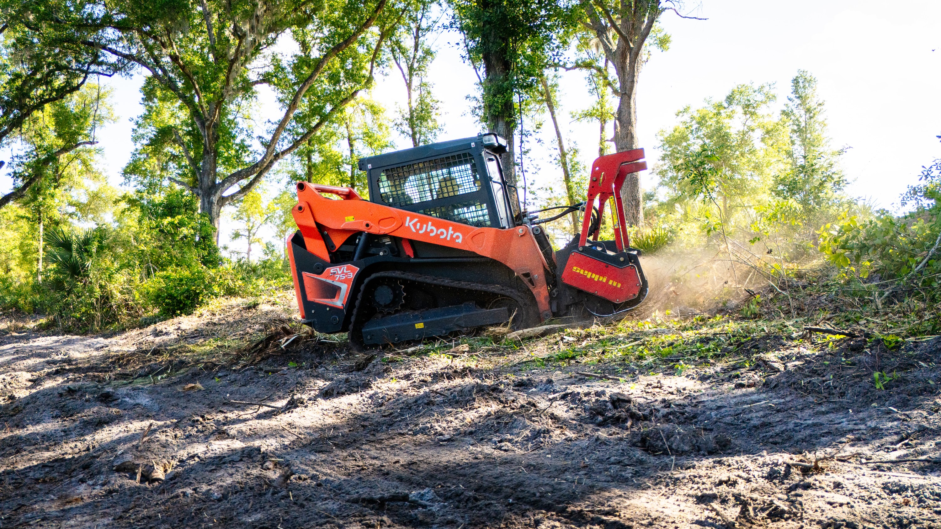 Forestry mulching project clearing overgrown vegetation in Lake County, FL